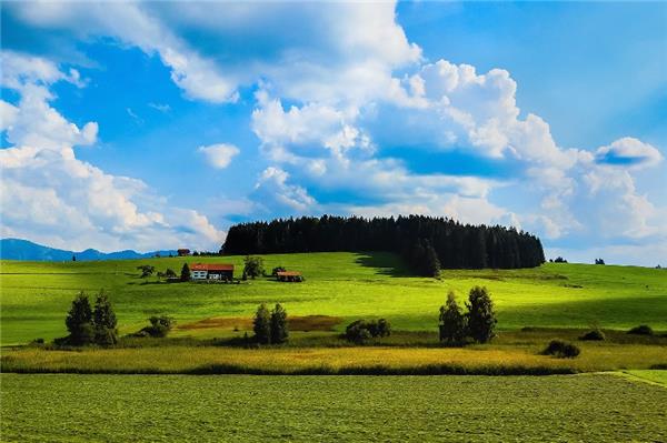 拆除工程的简单版合同。